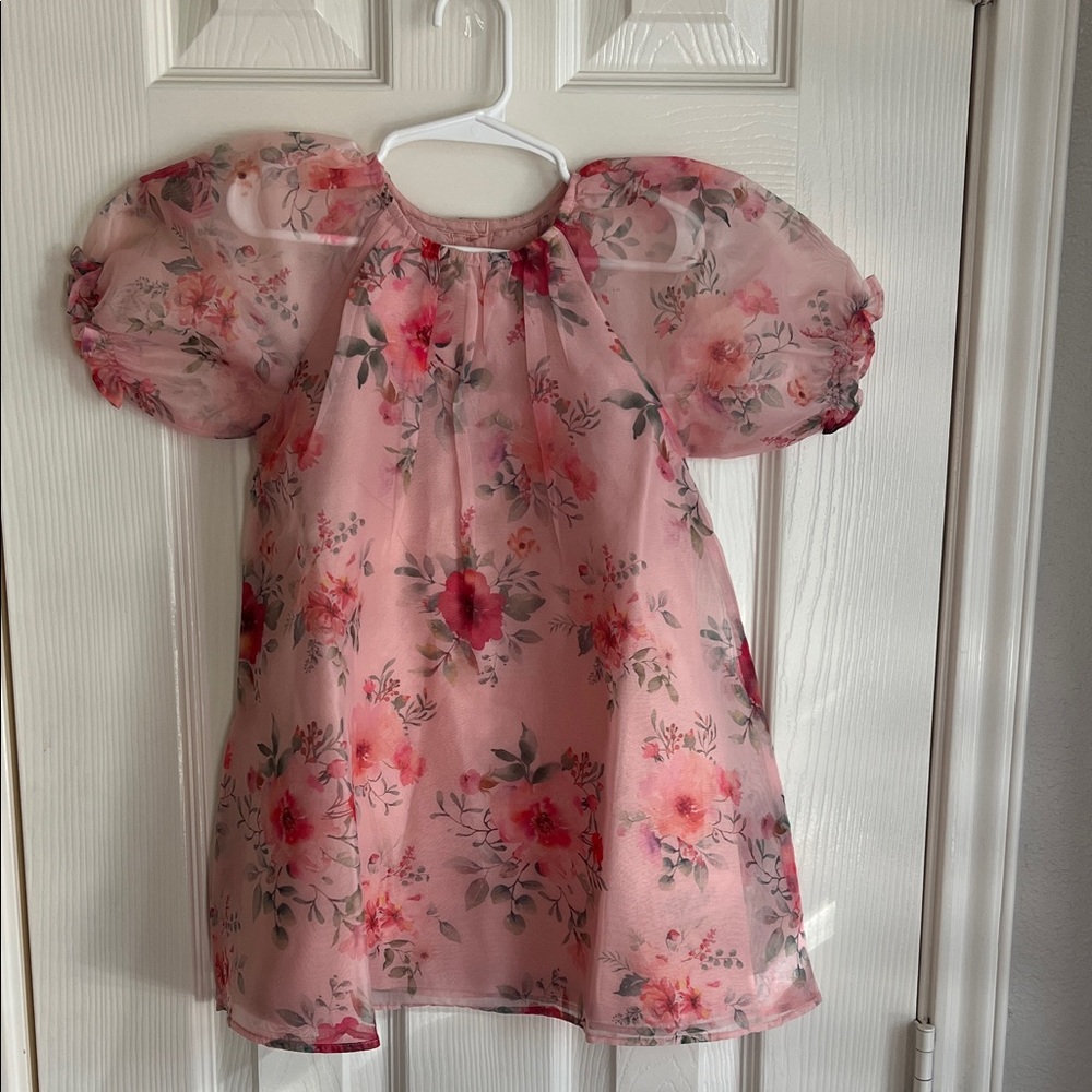 Floral Pink Sheer Dress